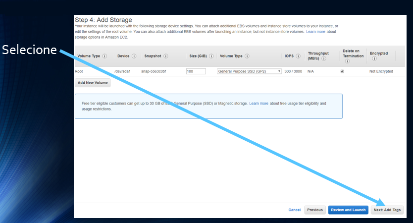 Selecione Next: Add Storage