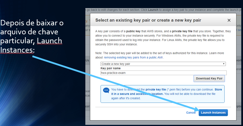 Depois de baixar o arquivo de chave particular, Launch Instances: