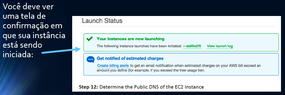 Você deve ver uma tela de confirmação em que sua instância está sendo iniciada: