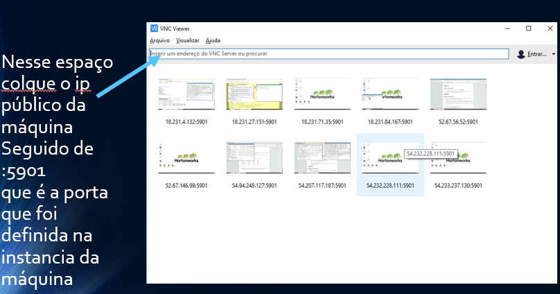 Nesse espaço colque o ip público da máquina Seguido de :5901 que é a porta que foi definida na instancia da máquina