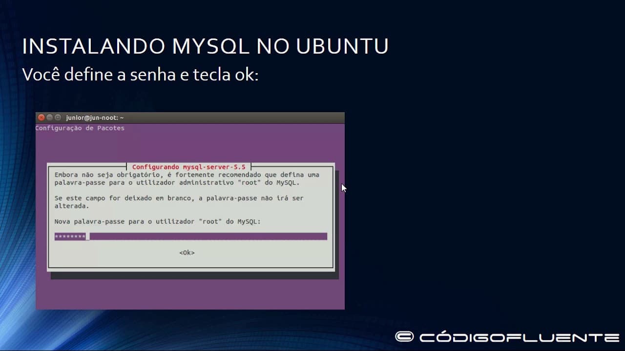 Aula 06 - Aplicação Django com mysql