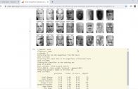 Aula 14 – Scikit-Learn – Reconhecimento facial – LFW – parte-02