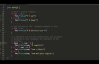 Aula 07 – Tutorial Golang – If – Else