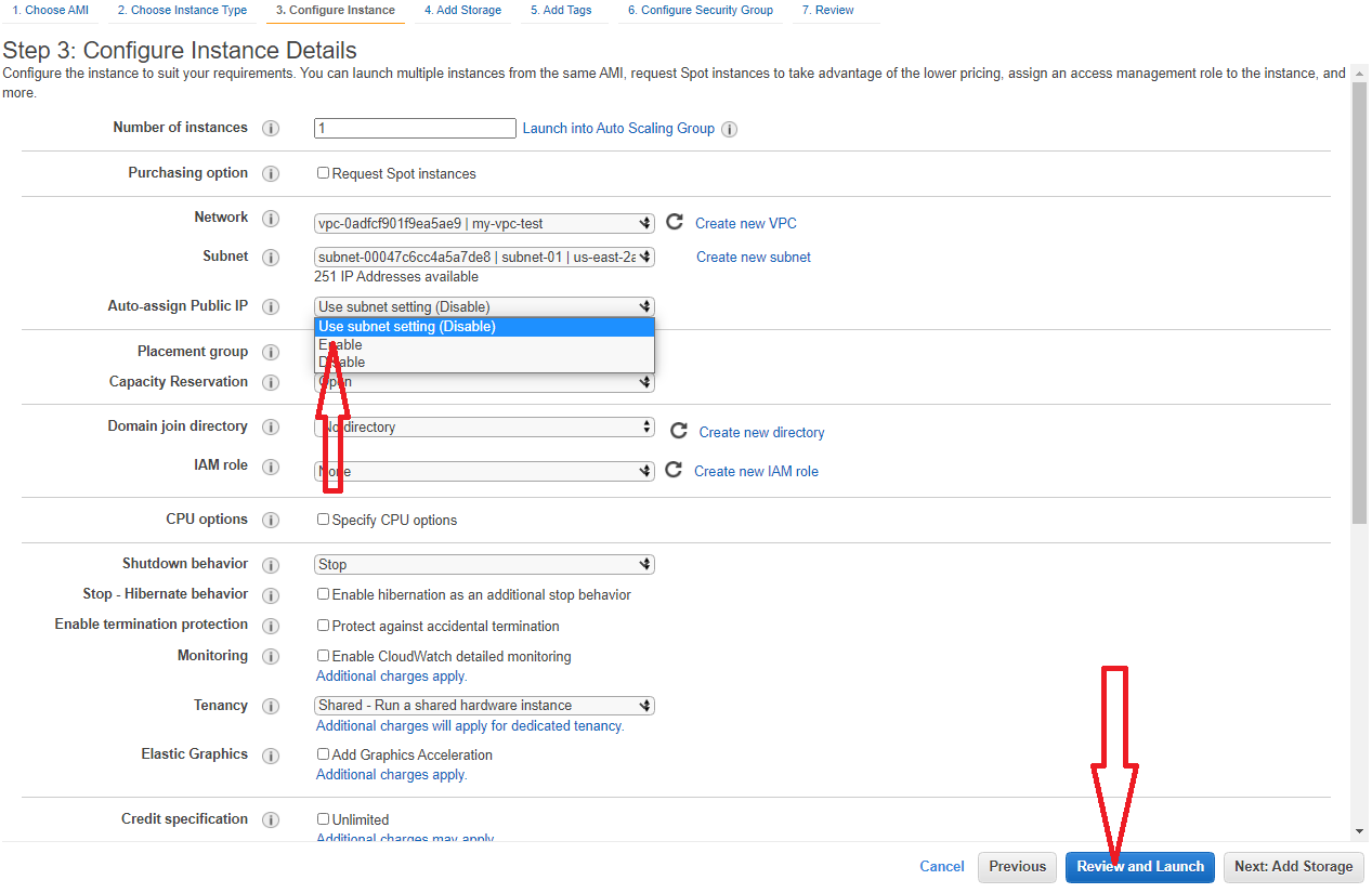 Selecione Public IP como enable