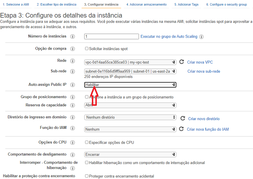 Em Auto-assign Public IP coloque Habilitar