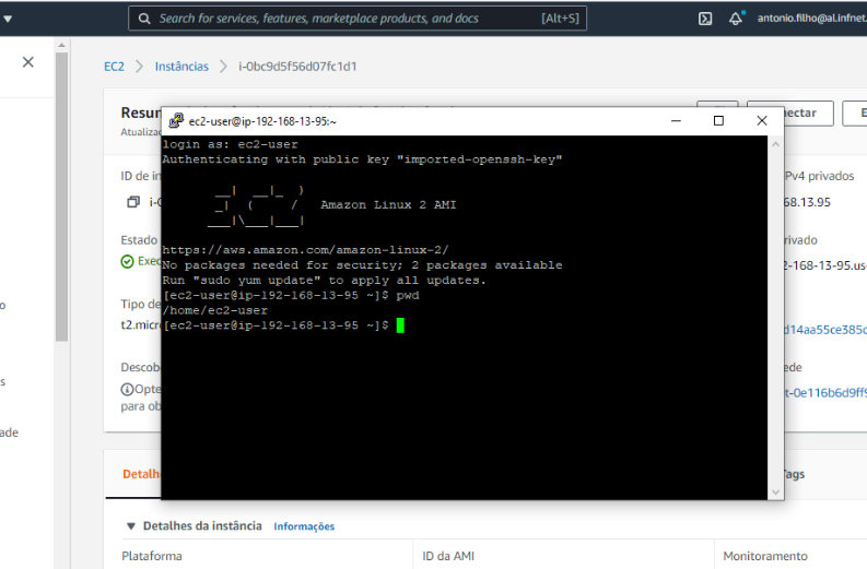 Logado na máquina linux na aws
