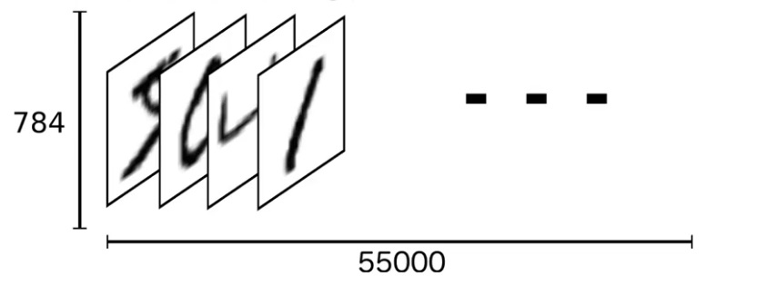 Array 1D